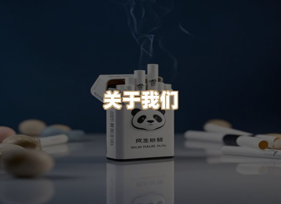 关于云歌烟网